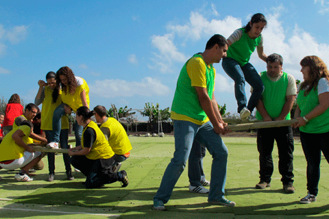 Trabajo en equipo